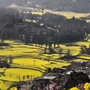 曲靖旅游 缩略图 2