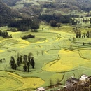 昆明旅游 缩略图 3