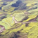 昆明旅游 缩略图 6