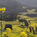 曲靖旅游 缩略图 3