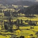 曲靖旅游 缩略图 6