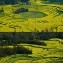 曲靖旅游 缩略图 3