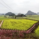 保山旅游 缩略图 3