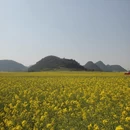 昆明旅游 缩略图 14