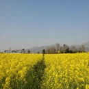 昆明旅游 缩略图 12