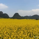 昆明旅游 缩略图 1