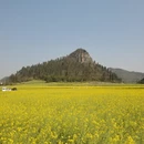 昆明旅游 缩略图 15