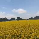 昆明旅游 缩略图 2