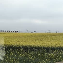 曲靖旅游 缩略图 2