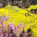 曲靖旅游 缩略图 1