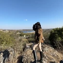 曲靖旅游 缩略图 7