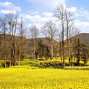 曲靖旅游 缩略图 7