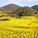 曲靖旅游 缩略图 8