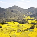 曲靖旅游 缩略图 3