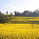 曲靖旅游 缩略图 9