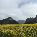曲靖旅游 缩略图 7