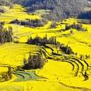 曲靖旅游 缩略图 4