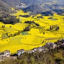 曲靖旅游 缩略图 5