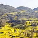 曲靖旅游 缩略图 6