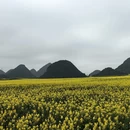 曲靖旅游 缩略图 6