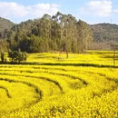 曲靖旅游 缩略图 10