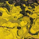 昆明旅游 缩略图 5