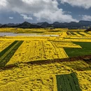 昆明旅游 缩略图 4