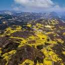 昆明旅游 缩略图 1