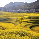 曲靖旅游 缩略图 15