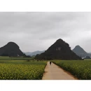 曲靖旅游 缩略图 3