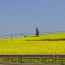 曲靖旅游 缩略图 2