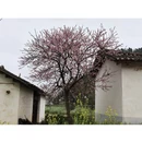 曲靖旅游 缩略图 1