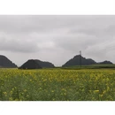 曲靖旅游 缩略图 4
