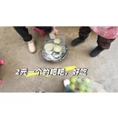 曲靖旅游 缩略图 8