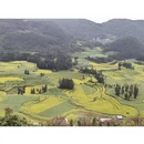 曲靖旅游 缩略图 11