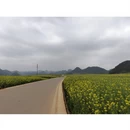 曲靖旅游 缩略图 5