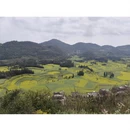 曲靖旅游 缩略图 10