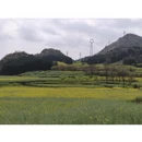 曲靖旅游 缩略图 17
