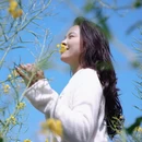 曲靖旅游 缩略图 1