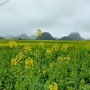 曲靖旅游 缩略图 1