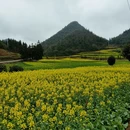 曲靖旅游 缩略图 2