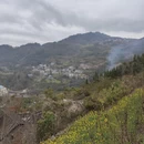 曲靖旅游 缩略图 3