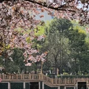 昆明旅游 缩略图 8