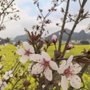 昆明旅游 缩略图 2