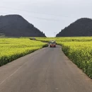 昆明旅游 缩略图 3