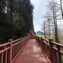 昆明旅游 缩略图 10