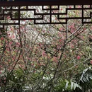 昆明旅游 缩略图 6