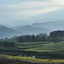 昆明旅游 缩略图 15