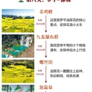 昆明旅游 缩略图 7
