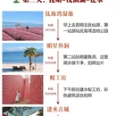 昆明旅游 缩略图 3